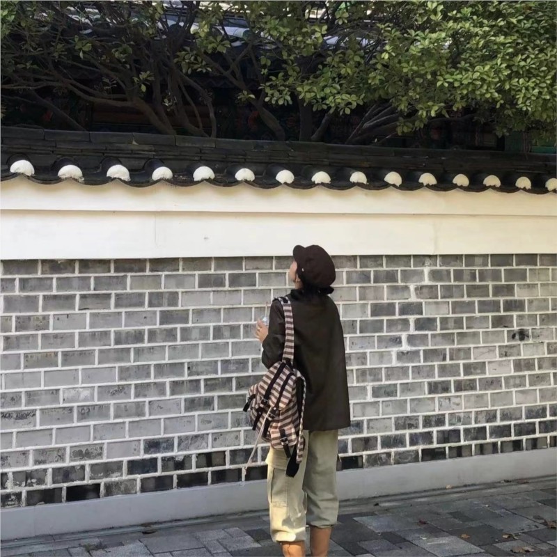 Harajuku Vintage Backpack Wome - Women'S Vegan Bags 评论和价格